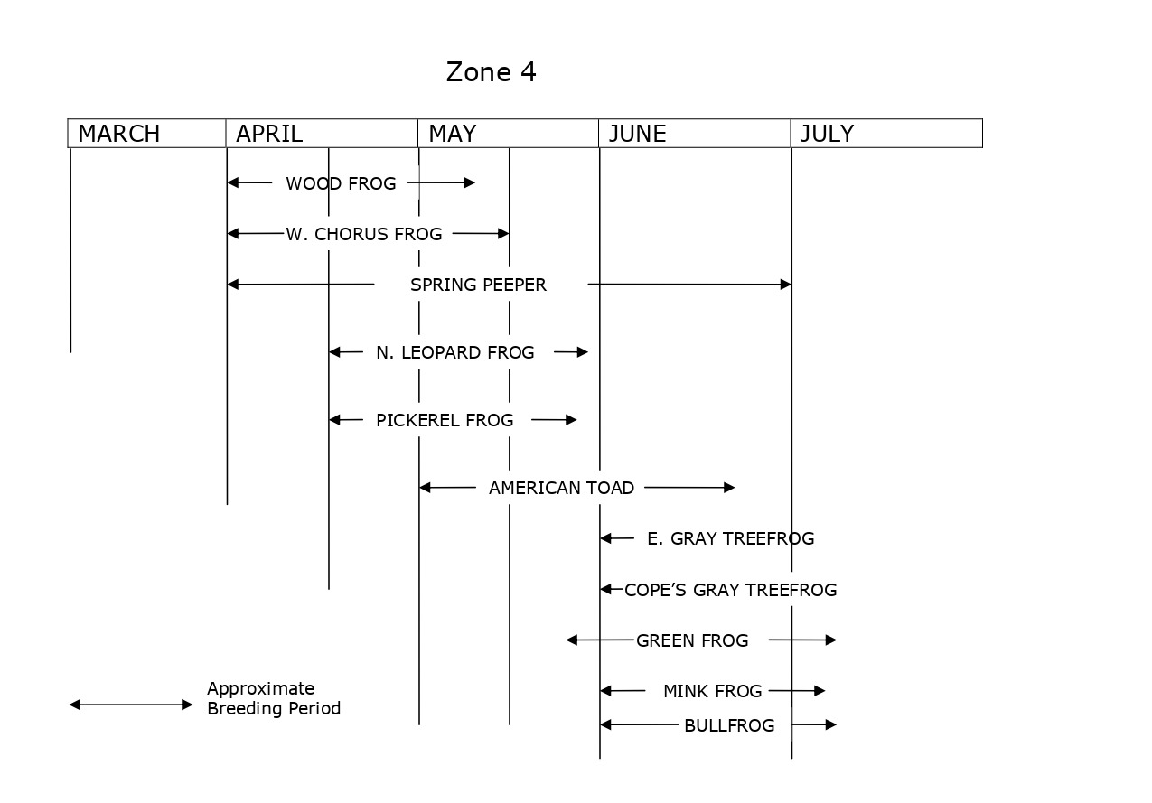 A chart showing the seasonal frog activity of zone 4 in Michigan